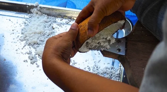 ココナッツオイル作り体験